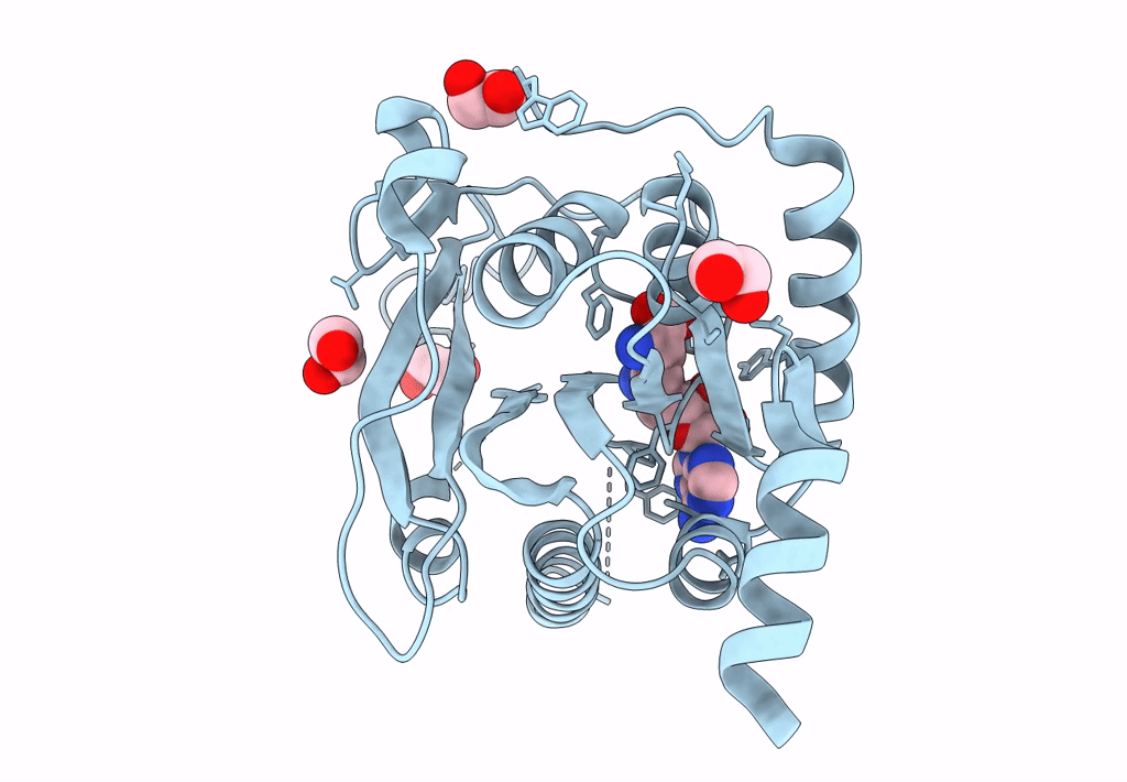 8S9N image