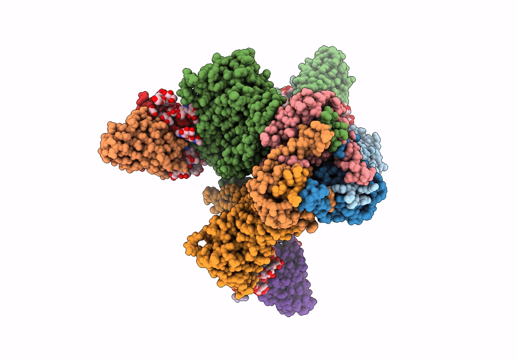 8SB2 image