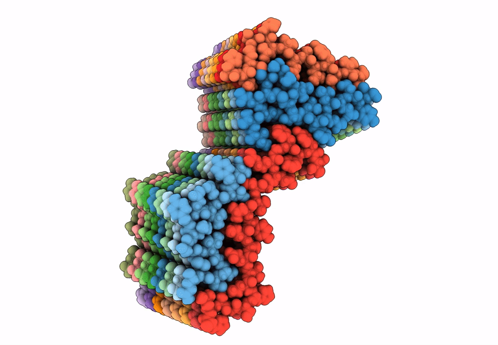 8SBD image