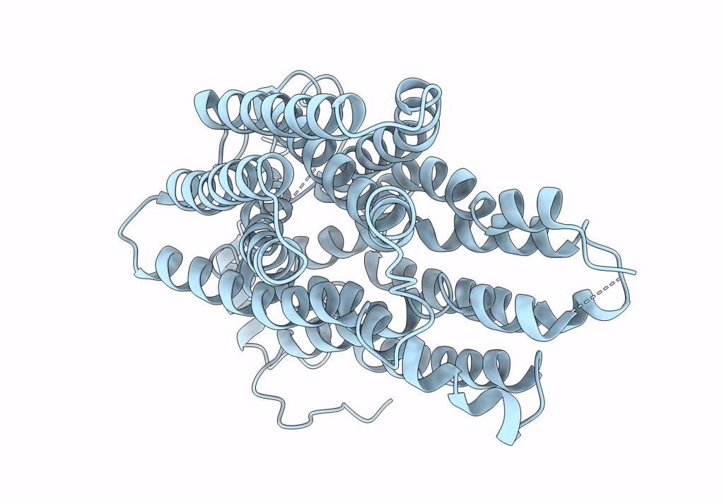 8SBE image