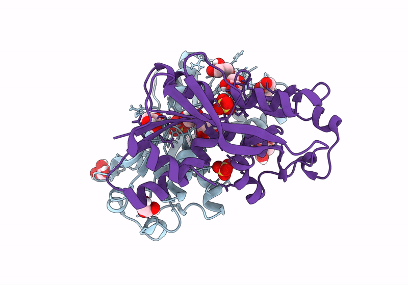 8SBH image