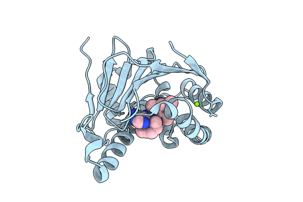 8SBT image