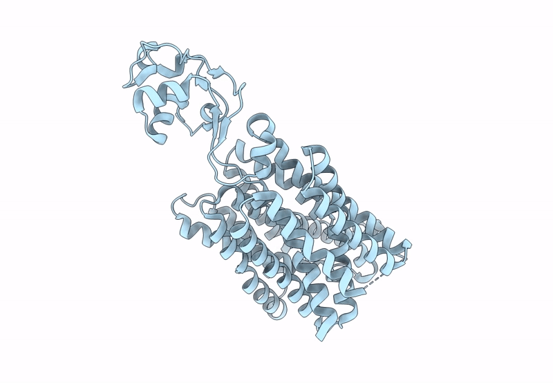 8SC1 image