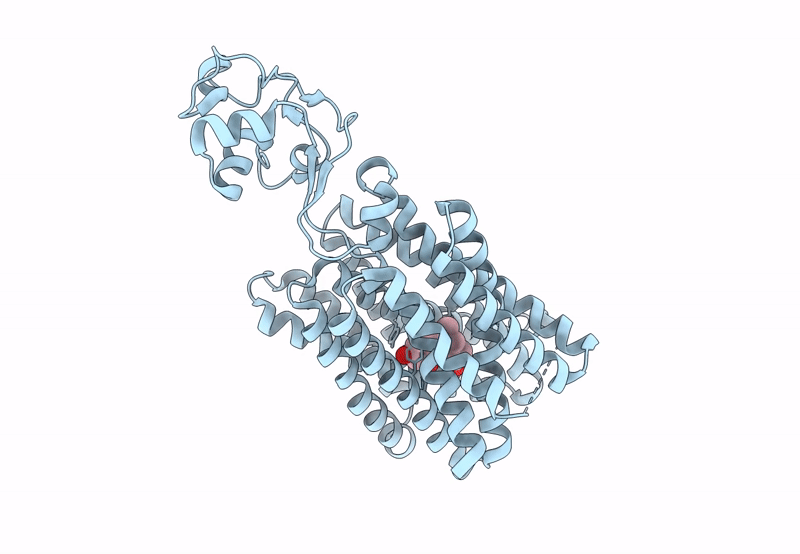 8SC3 image