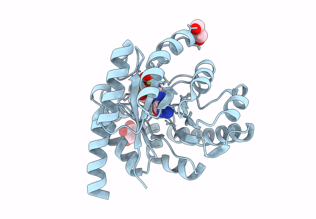 8SCD image