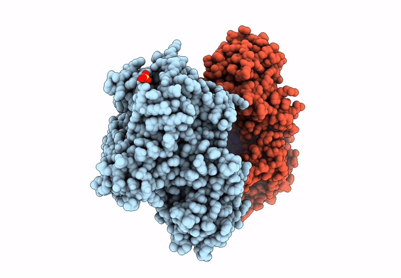 8SCI image