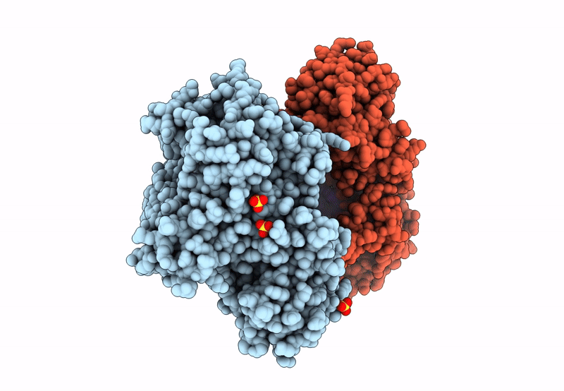 8SCM image