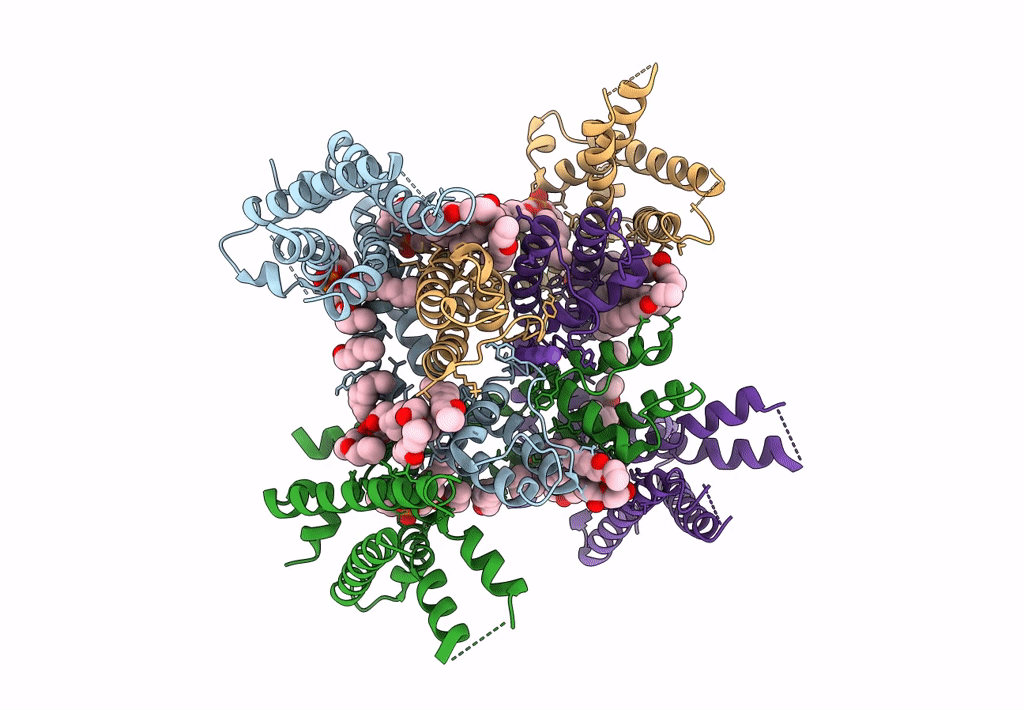 8SD3 image