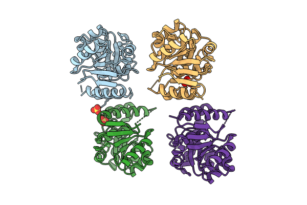 8SD5 image