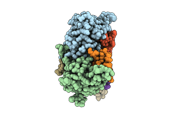 8SDM image