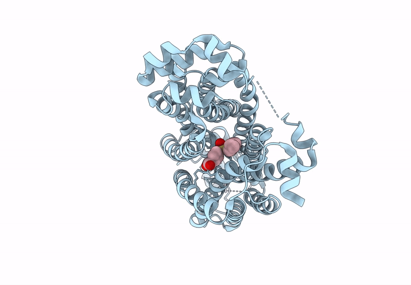 8SDZ image