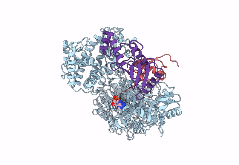 8SEB image