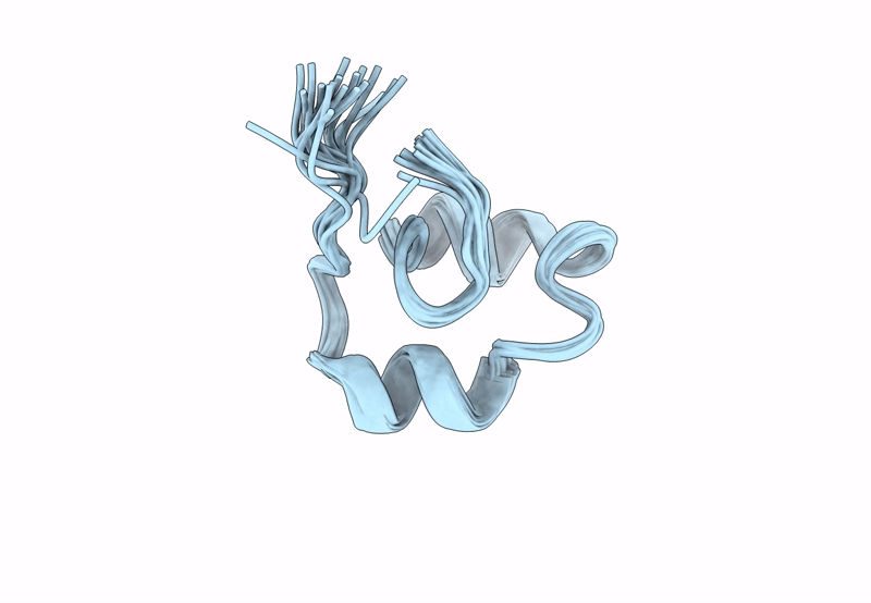 8SED image