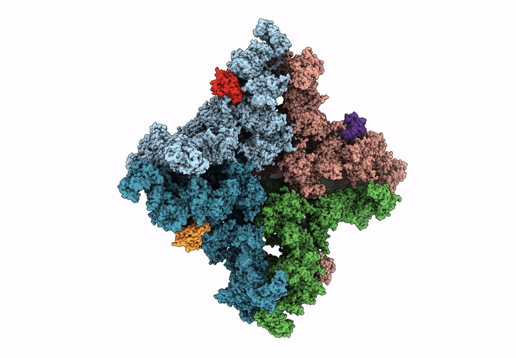 8SEQ image