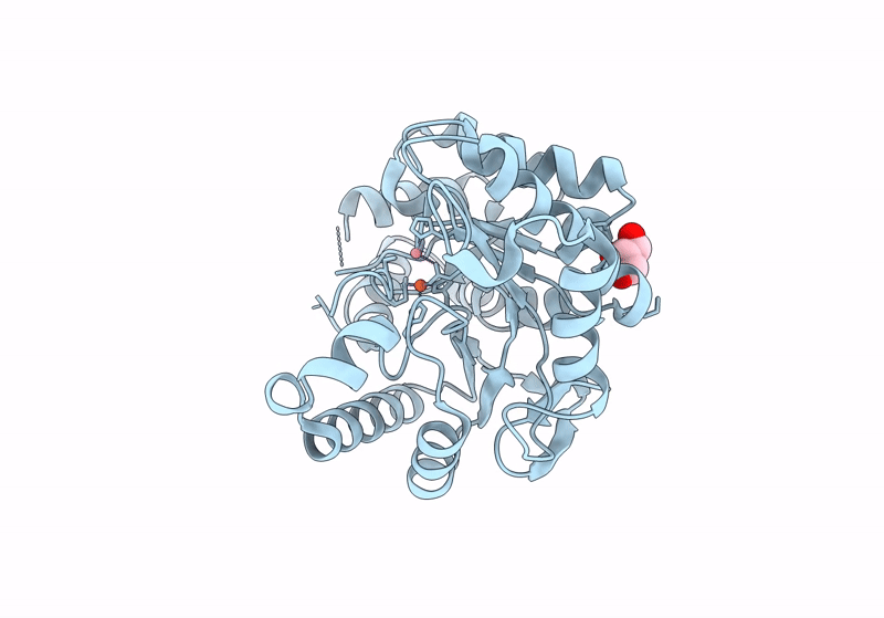8SFC image