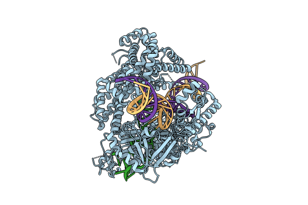 8SFH image