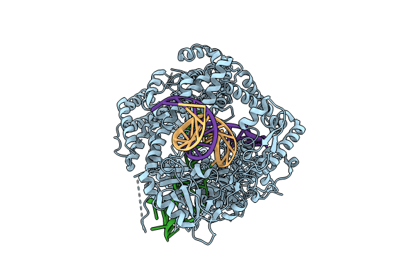 8SFI image