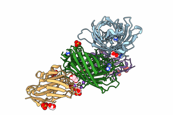 8SFS image