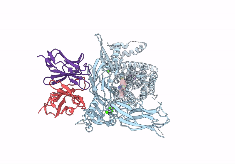 8SGI image