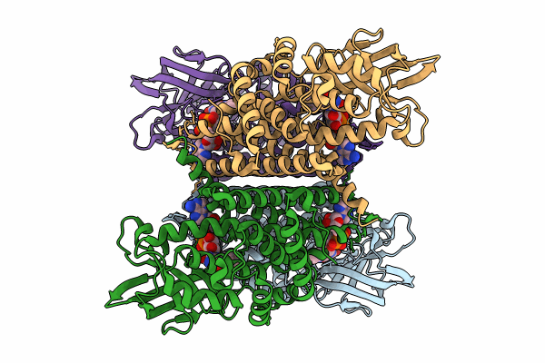 8SGR image