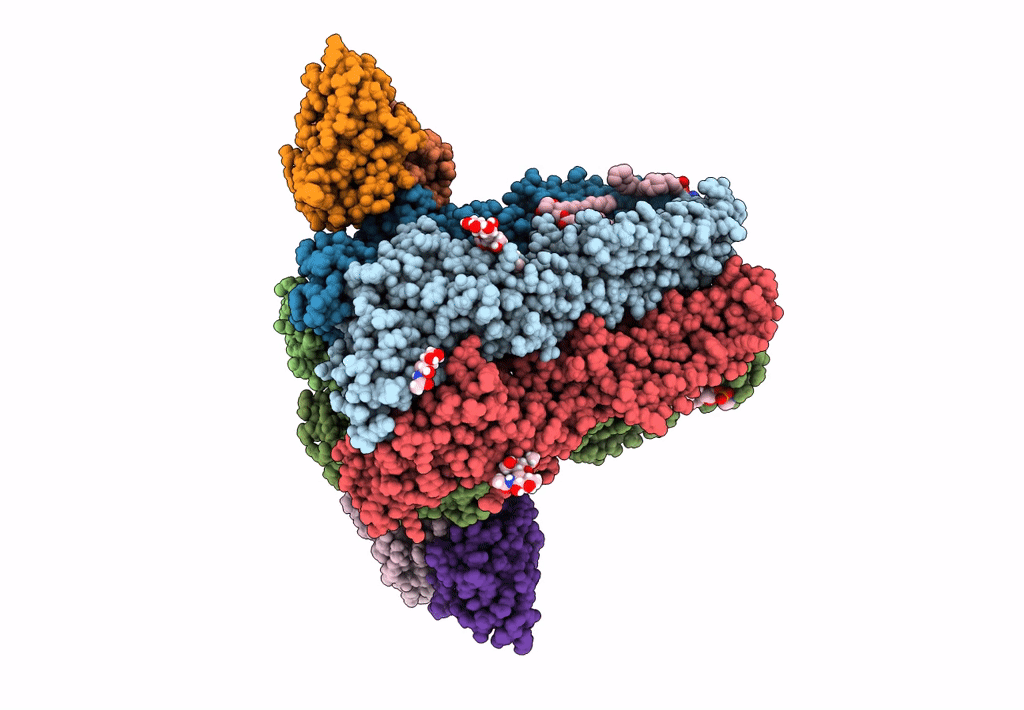 8SID image