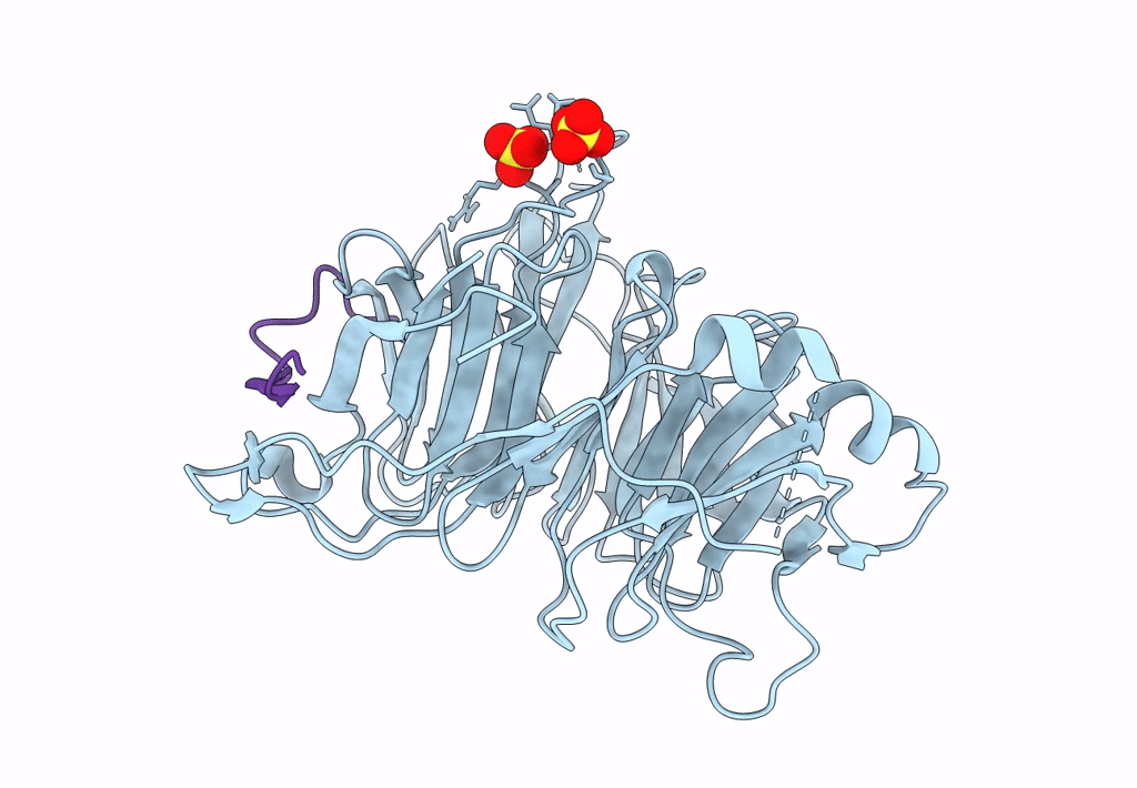 8SIU image