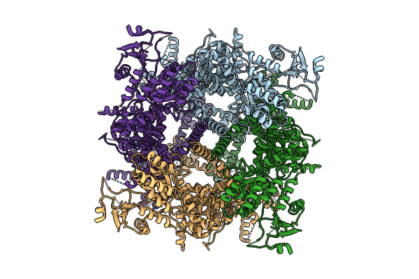 8SLE image