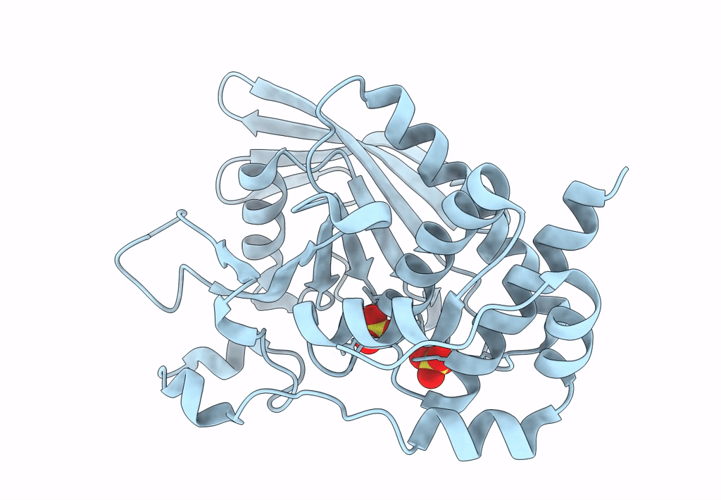 8SLT image