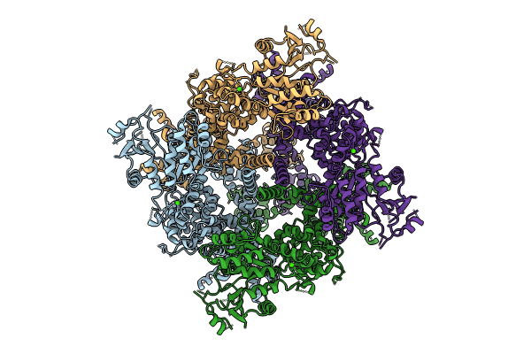 8SLW image
