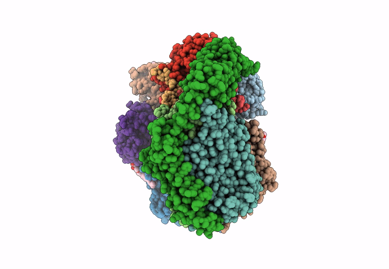 8SMR image