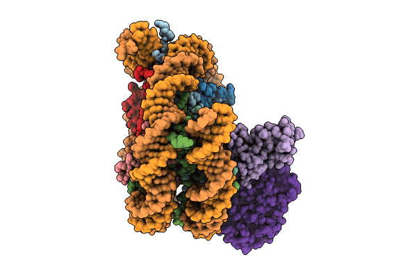 8SN2 image