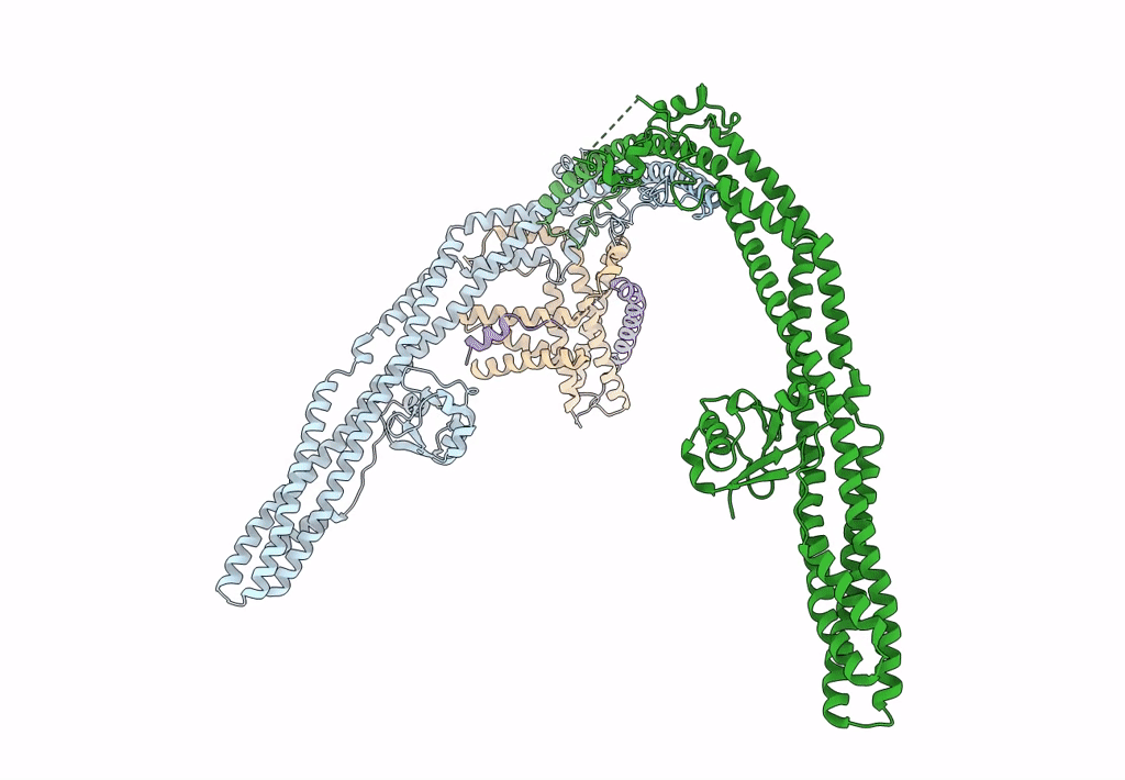 8SOI image