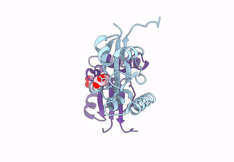 8SOT image