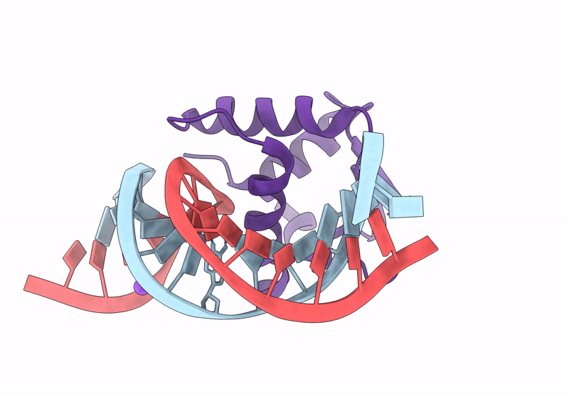 8SP1 image
