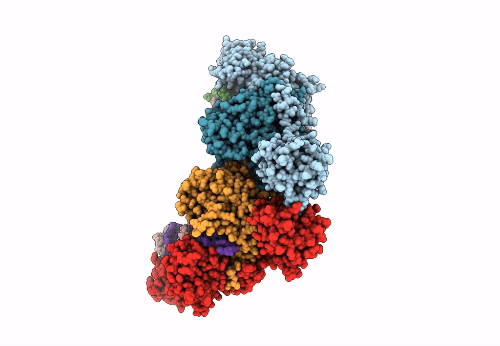 8SP3 image