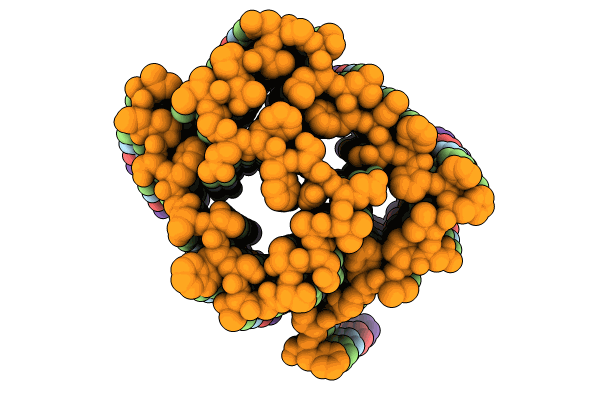 8SPA image