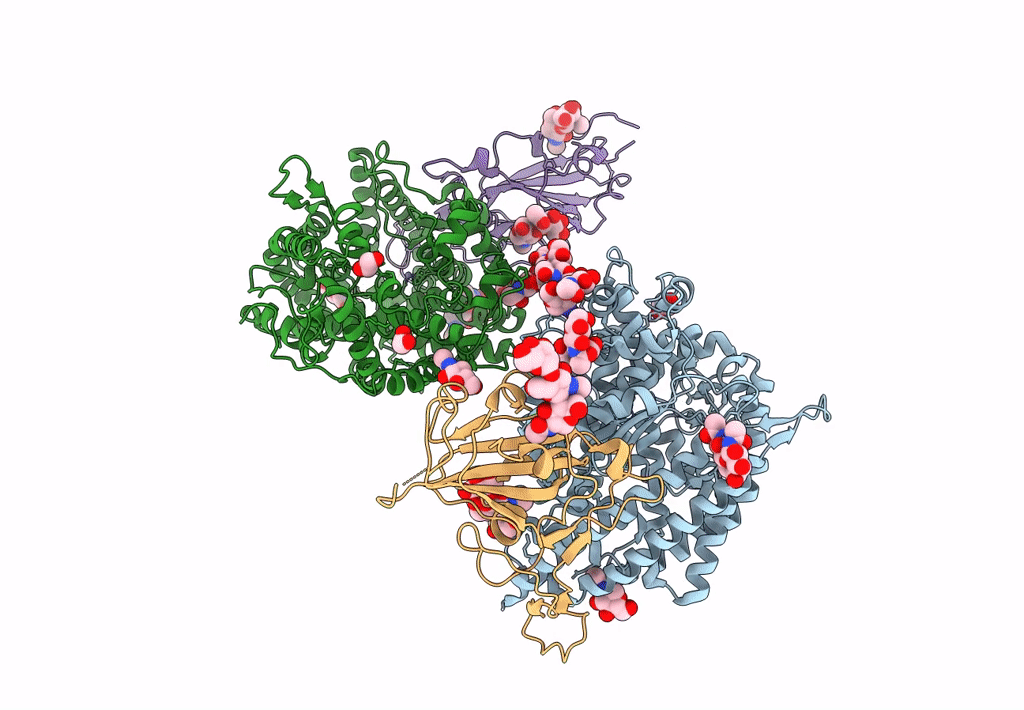 8SPH image