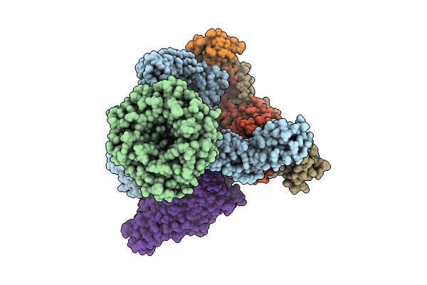 8SPR image