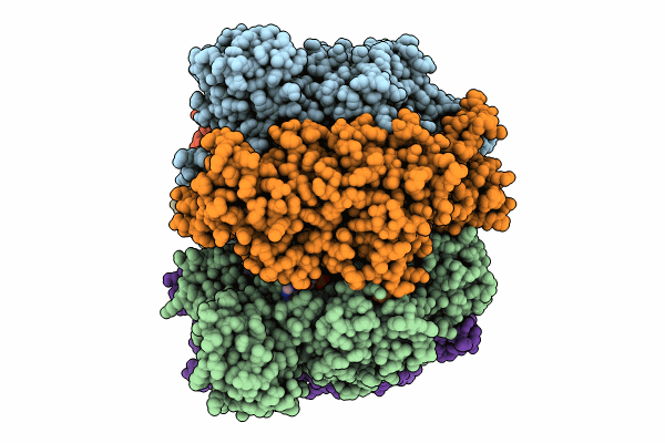 8SPW image