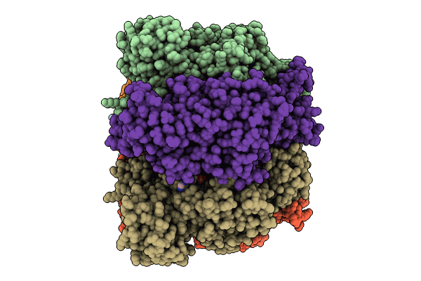 8SPX image