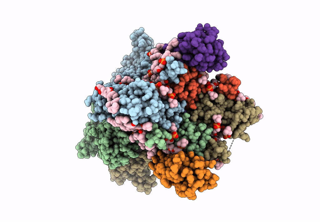 8SS3 image