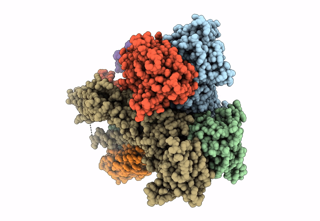 8SS4 image