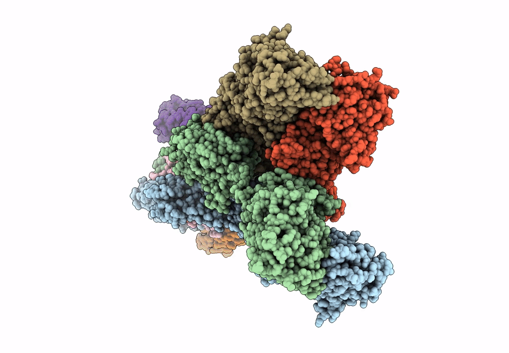 8SS6 image