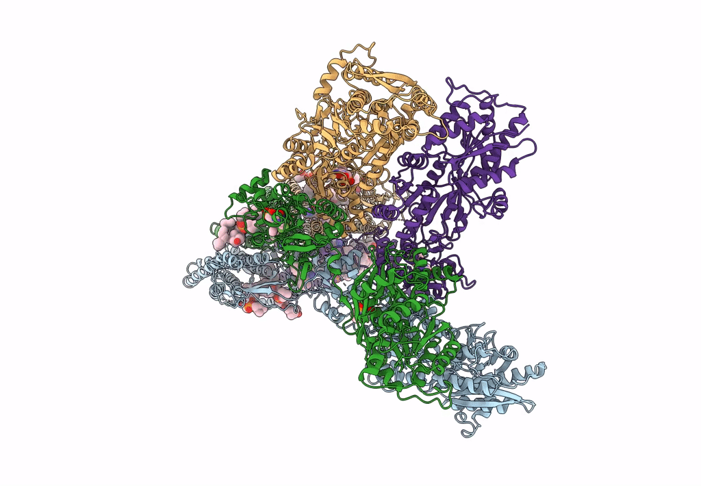 8SS8 image