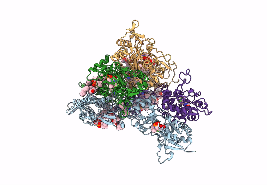 8SS9 image