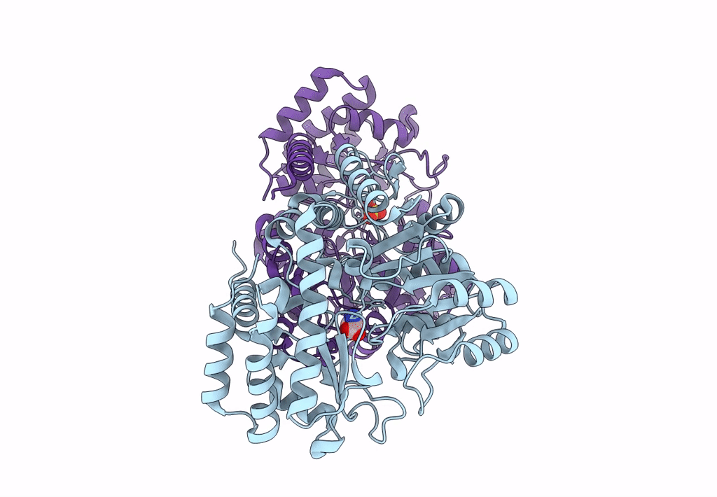 8SSY image