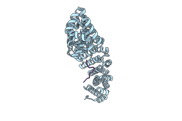 8SUD image