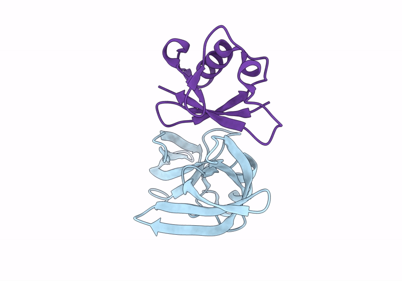 8SVG image
