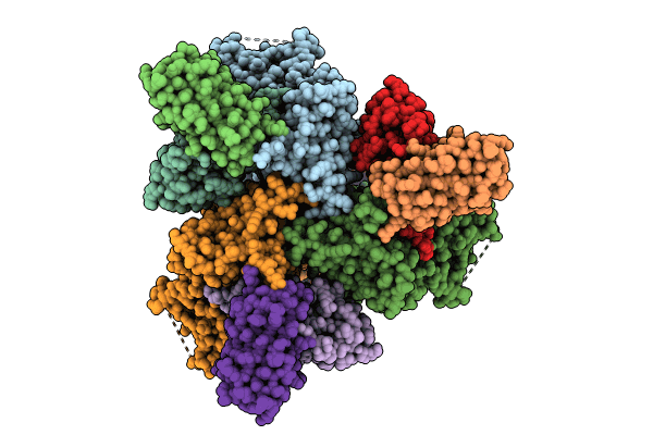 8SXI image