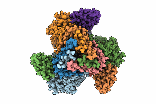 8SXJ image